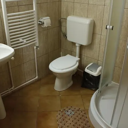 Chalet Veche Trei Brazi *