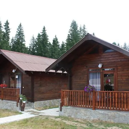 Chalet Veche Trei Brazi *