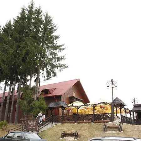 Chalet Veche Trei Brazi